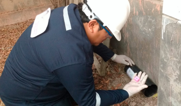 servicio de desratizacion 2